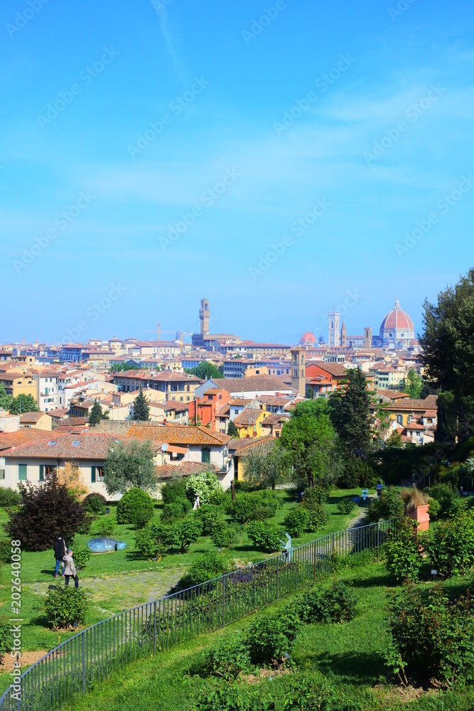 the panorama in Florence from the garden of roses