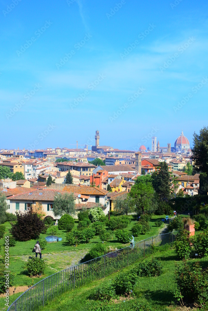 the panorama in Florence from the garden of roses