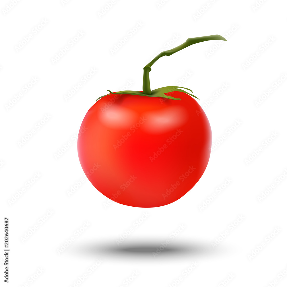 Realistic 3d red tomato isolated on white background. Good for packaging or web design. Realistic 3d red tomato isolated on white background. Good for packaging or web design.