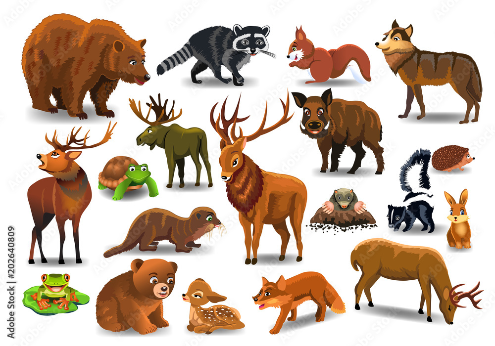 Obraz premium Vector set of wild forest animals like stag, bear, wolf, fox, tortoise isolated on a white background