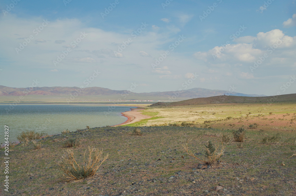 Multi-color coast of the Khar lake. Nature and travel. Mongolia, Uvs Province