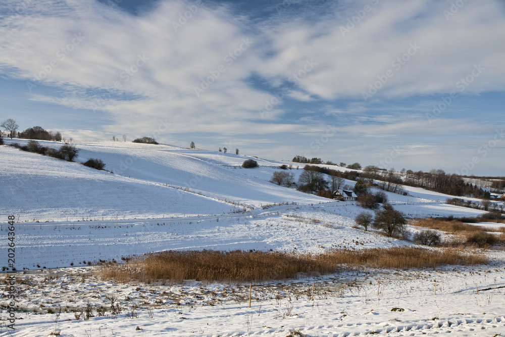 Danish Winter Landscape