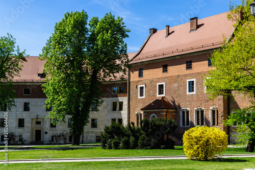 Spring green tree in front of old building at Wawel castle, Cracow, Poland