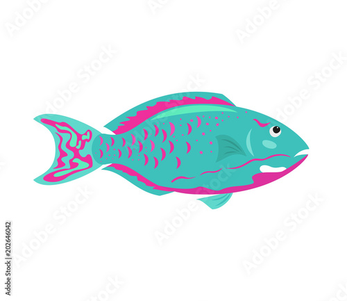 Tropical fish on white background.