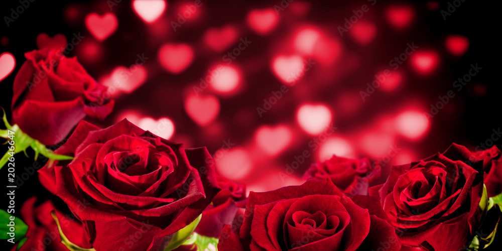 Rose against valentines heart pattern Rose against valentines heart pattern