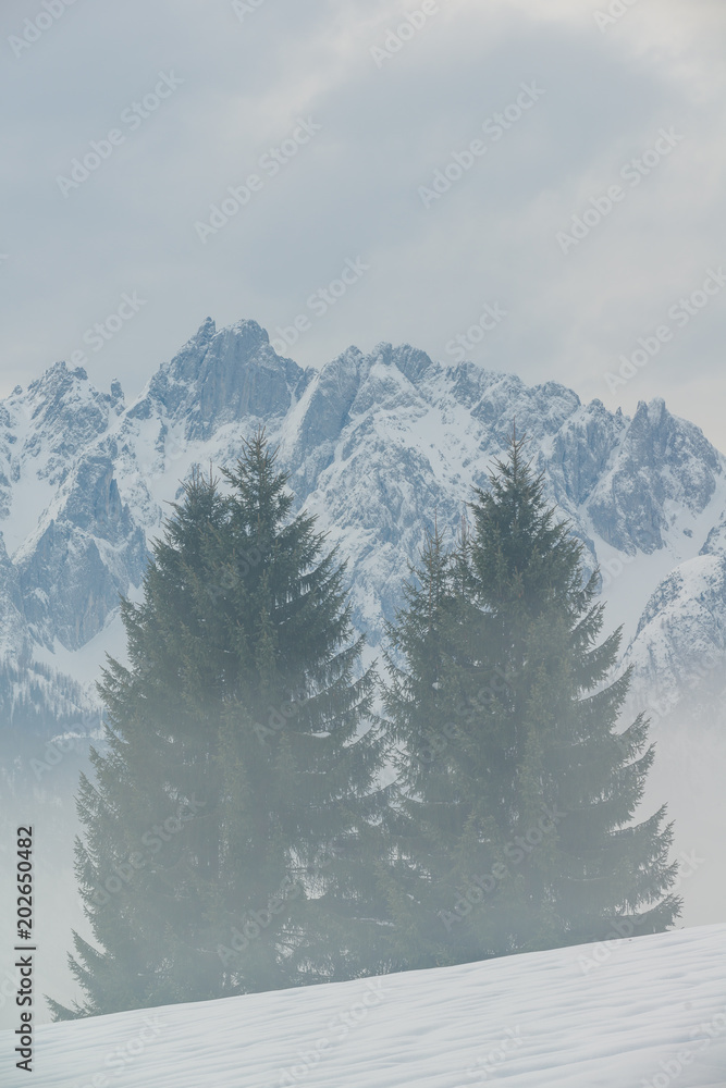 Fototapeta premium Gosau valley in the morning mist. Gosau. Austria.