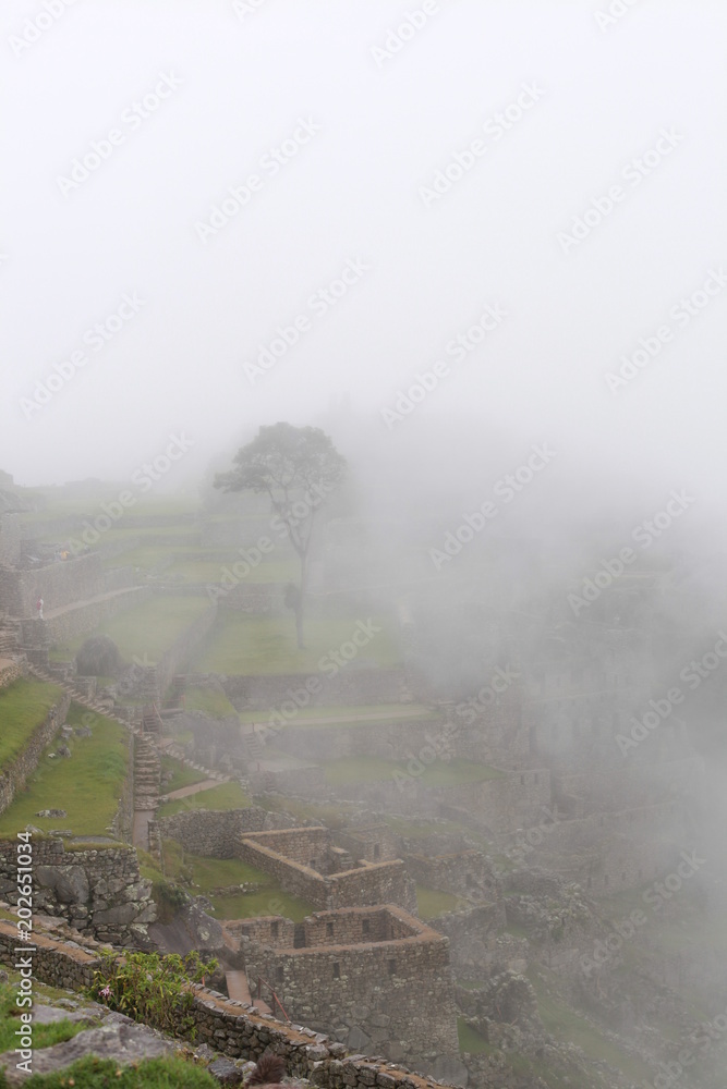 Fototapeta premium peruvian images
