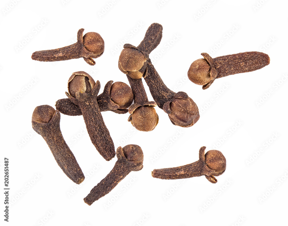 dried clove isolated on white background dried clove isolated on white background