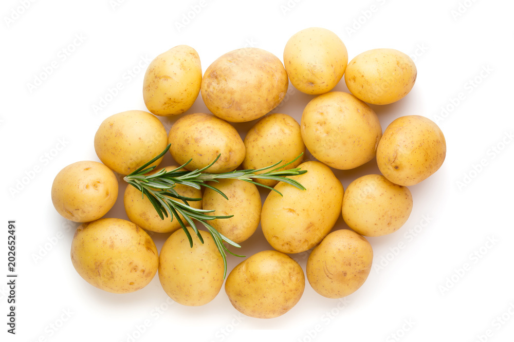 New potato and rosemarin isolated on white background close up. New potato and rosemarin isolated on white background close up.