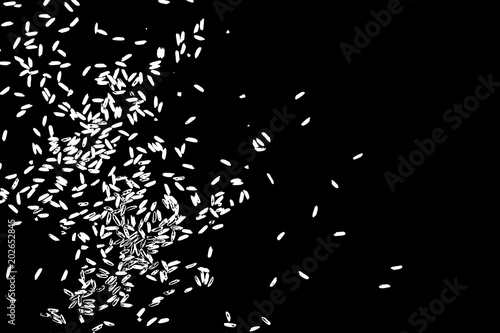 Rice background. Abstract texture for your design. White rice on background. Random pattern with scattered thrown rice seeds. Vector.