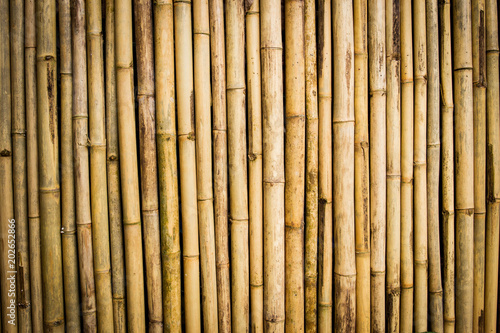 Aged nature bamboo wall close up background.