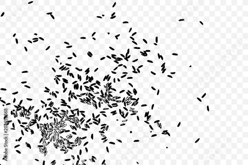 Raw white rice explosion. Thrown rice seeds on transparent background. Silhouette of flakes, spread on the flat surface or table. Top view. Vector.