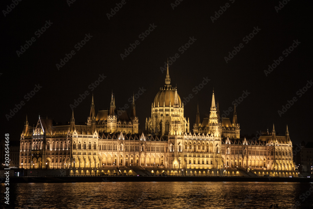 Fototapeta premium Hungarian Parliament (Orszaghaz) in Budapest, capital city of Hungary, taken during a dark night. The Parliament, of a gothic style, is the most iconic landmark of the city.