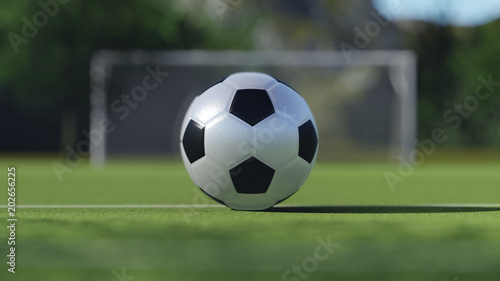 3D Rendering Ball Soccer Field Illustration