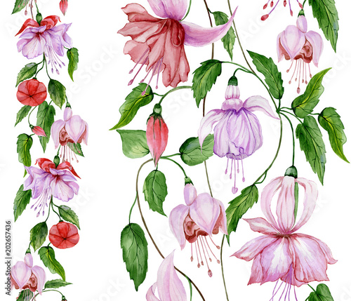 Beautiful fuchsia flowers on climbing twigs in straight lines on white background. Seamless floral pattern. Watercolor painting. Hand drawn illustration.
