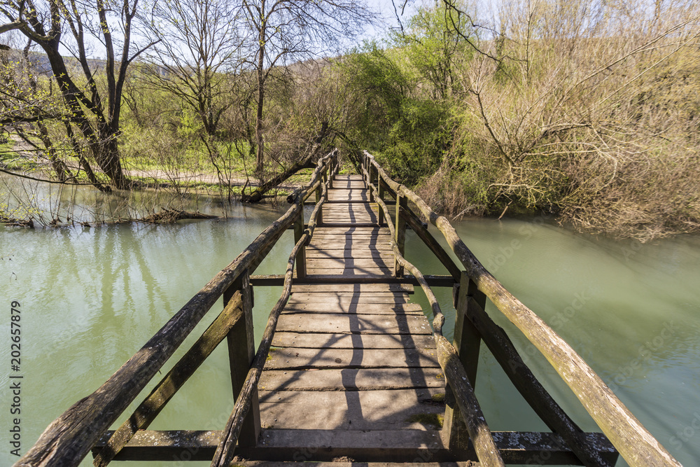 Small wooden bridge on an eco path