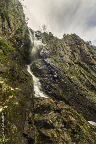 Small waterfall with a lot of vegetation