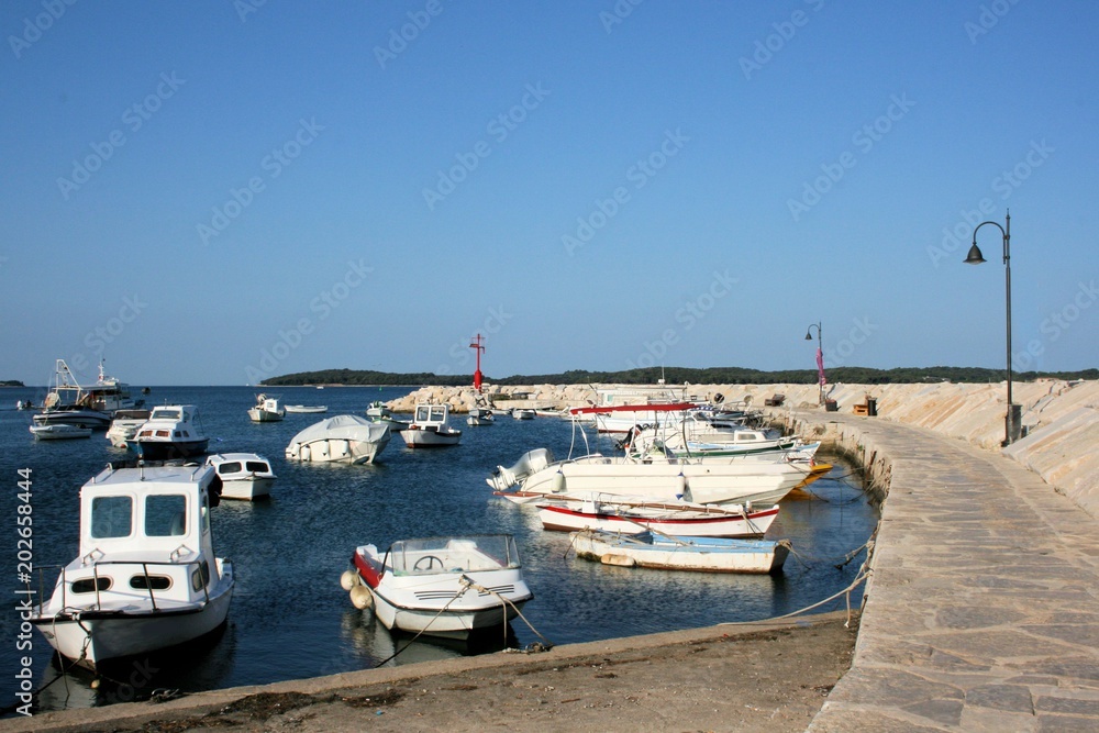 Fototapeta premium boats in the port of Fazana, Croatia