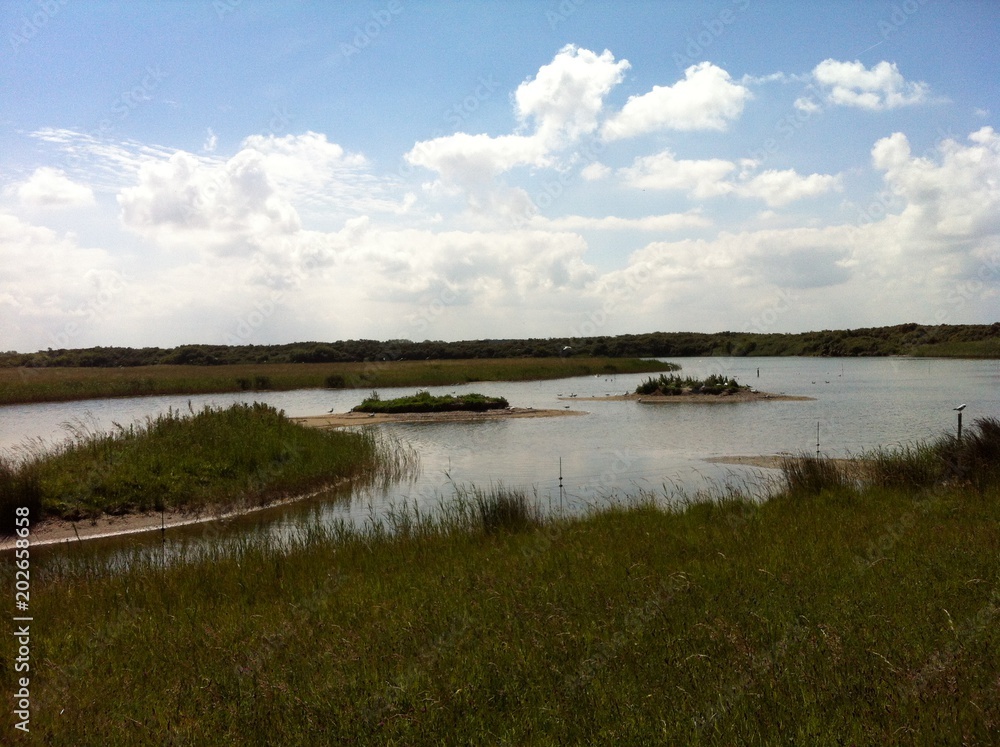 Fototapeta premium baie de somme 