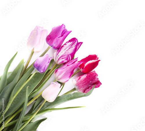 Fototapeta Naklejka Na Ścianę i Meble -  Bouquet of colorful tulips isolated on white background. Spring bouquet.