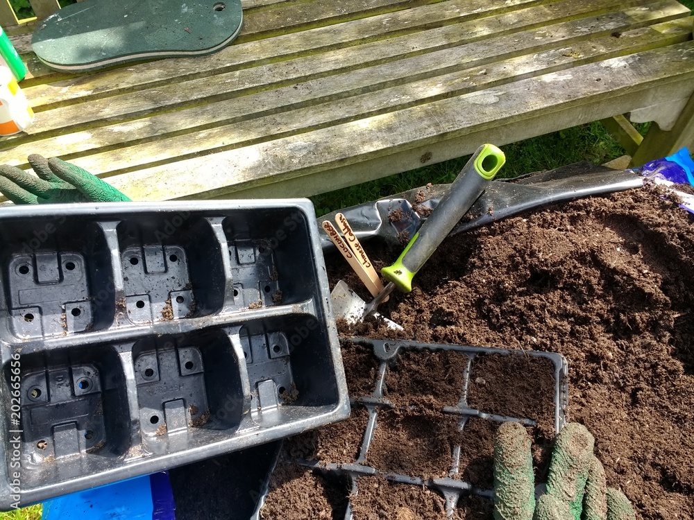 Εκτύπωση καμβά Close up of gardening seed trays and tools to plant and sow with trowel compost