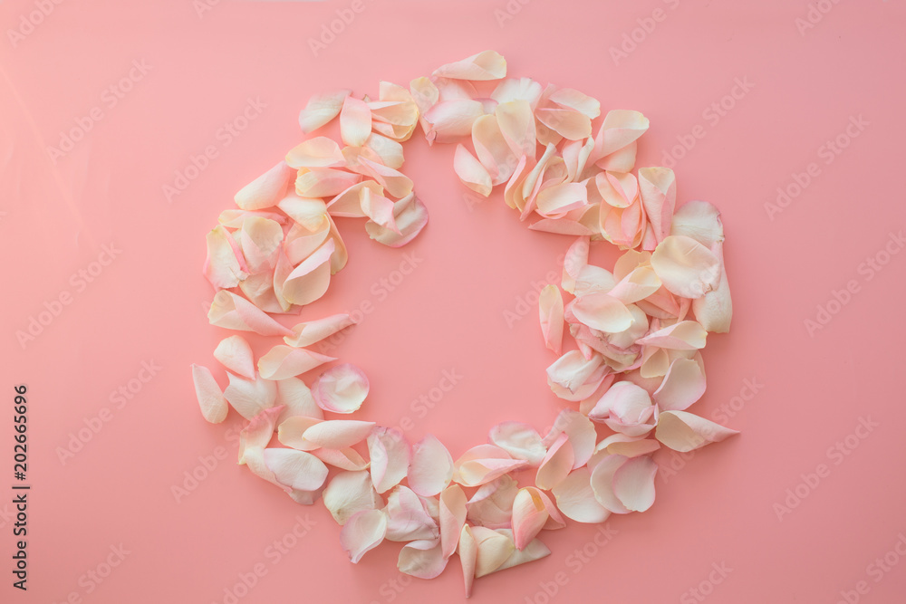 rose petals on a pink background rose petals on a pink background