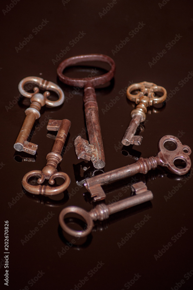 Six old rusty keys Six old rusty keys