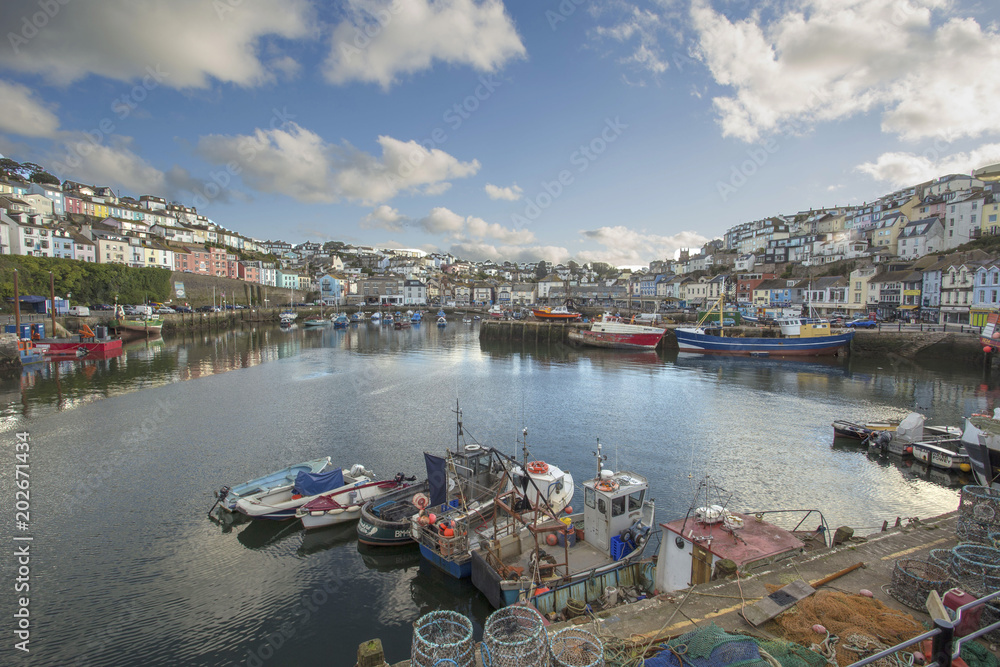 Brixham harbour fishing boats and townhouses