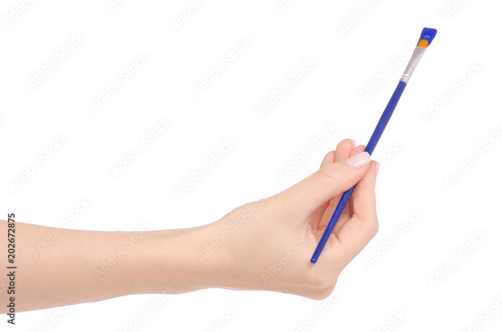 Brush for drawing in a hand painting Brush for drawing in a hand painting