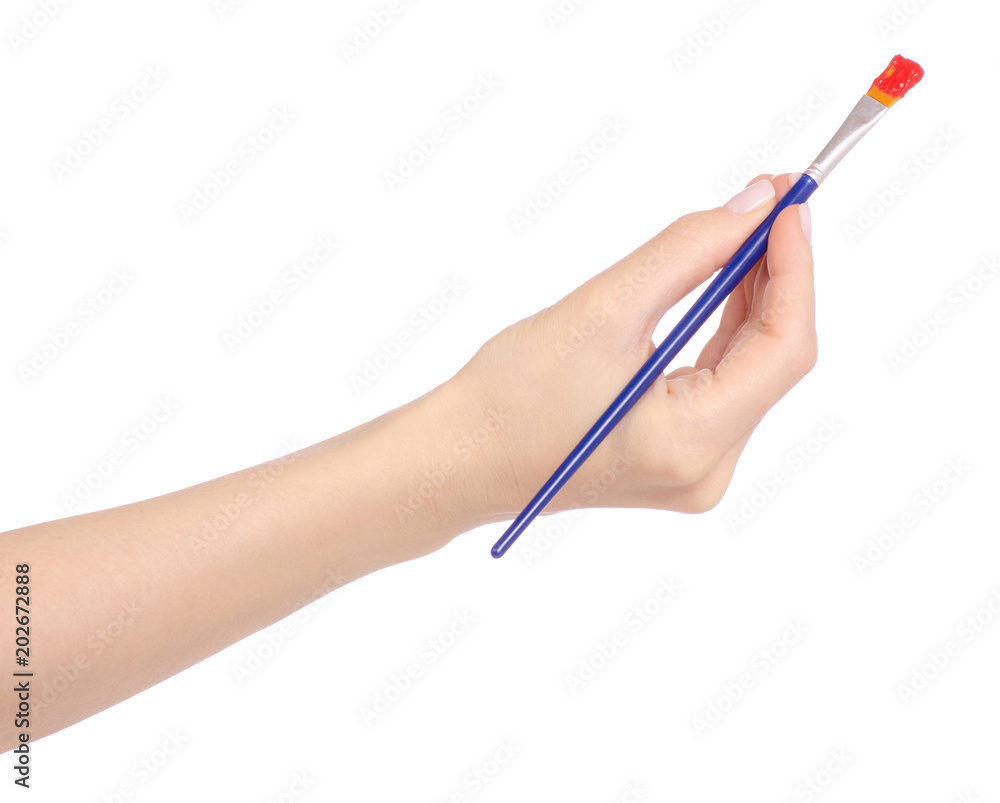 Brush for drawing in a hand painting Brush for drawing in a hand painting