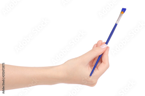Brush for drawing in a hand painting