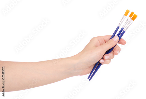 Brushes for drawing in a hand