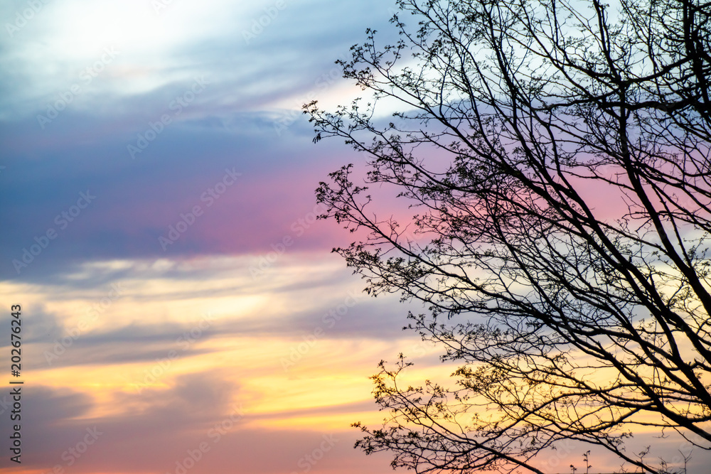 Sunset Sunset