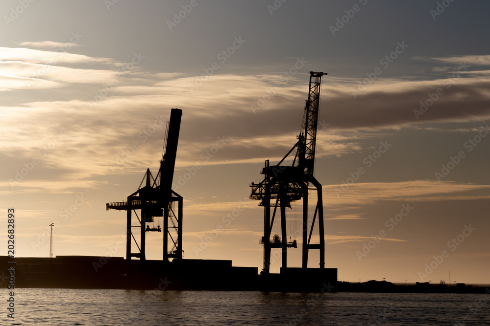 Cranes on a container port in backlighting. 