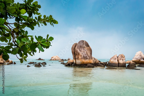 Meeresstrand mit Felsen im Wasser und Baum für Hintergrund