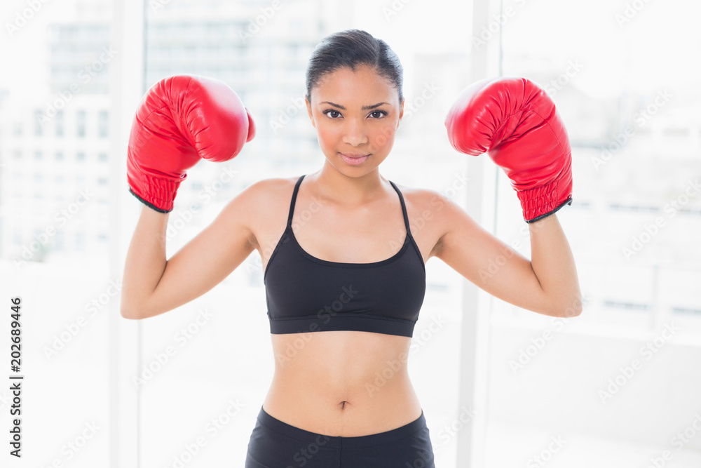 Motivated dark haired model in sportswear wearing red boxing gloves