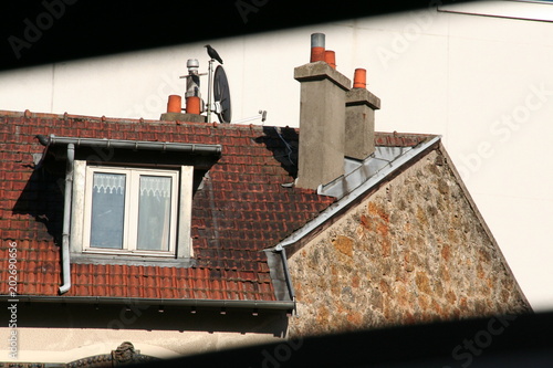 Mansard in sun light with red shingles with chimneys, window, antenn and dove photo