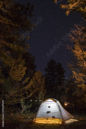 a tent in a campground at grand canyon national park in arizona shot at night with stars in the background and trees in the foreground