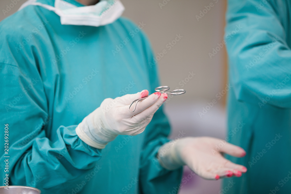 Nurse holding a surgical scissor Nurse holding a surgical scissor