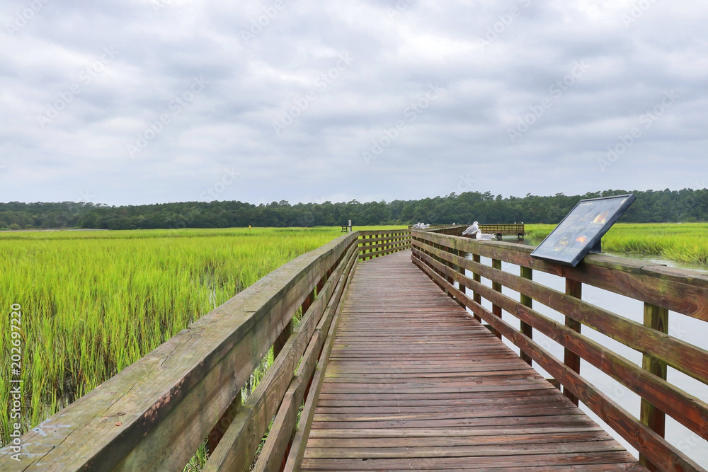 Huntington Beach State Park, South Carolina, USA. Scenic view from the wooden boardwalk on the expansive salt marsh with seagulls on a boundary. Huntington Beach State Park, South Carolina, USA. Scenic view from the wooden boardwalk on the expansive salt marsh with seagulls on a boundary.