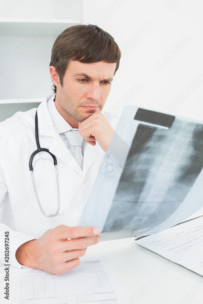 Concentrated male doctor looking at xray picture of spine Concentrated male doctor looking at xray picture of spine