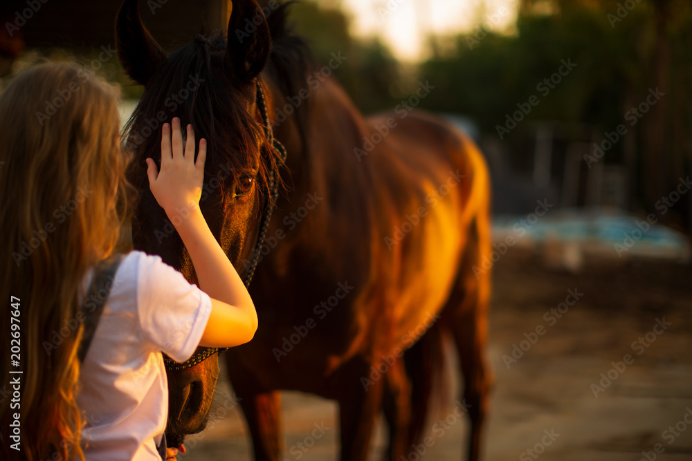 Obraz beautiful girl stroking a horse