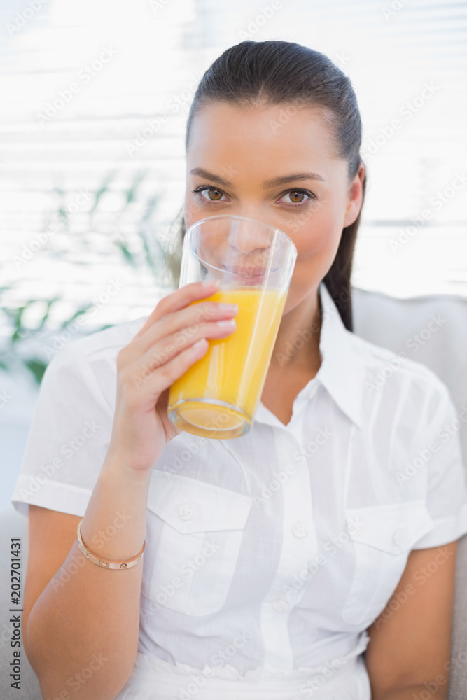 Cheerful pretty woman drinking orange juice sitting on cosy couch Cheerful pretty woman drinking orange juice sitting on cosy couch