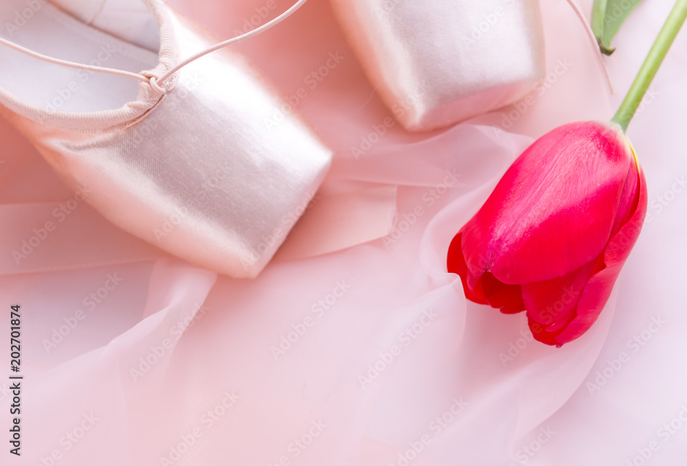 Pink Ballet costume and ballet shoes, and tulips. Pink Ballet costume and ballet shoes, and tulips.