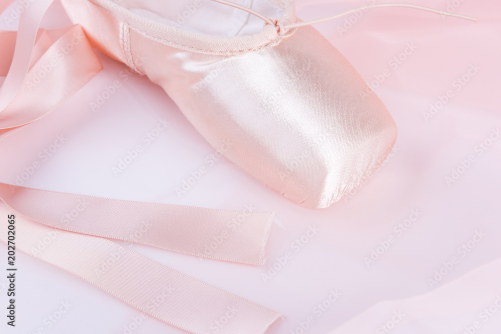 Ballet shoe with pink ballet costume Ballet shoe with pink ballet costume