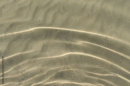 the sand on the beach under water, deserted beach lake, summer, sunlight on the sand