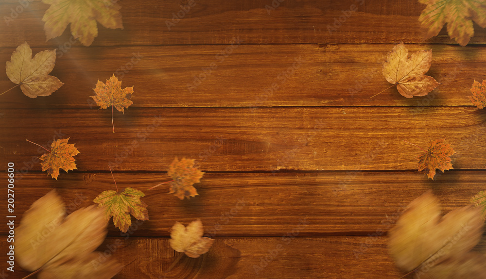 Fototapeta premium Autumn leaves pattern against overhead of wooden planks