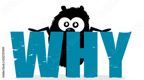 Message Bear Why