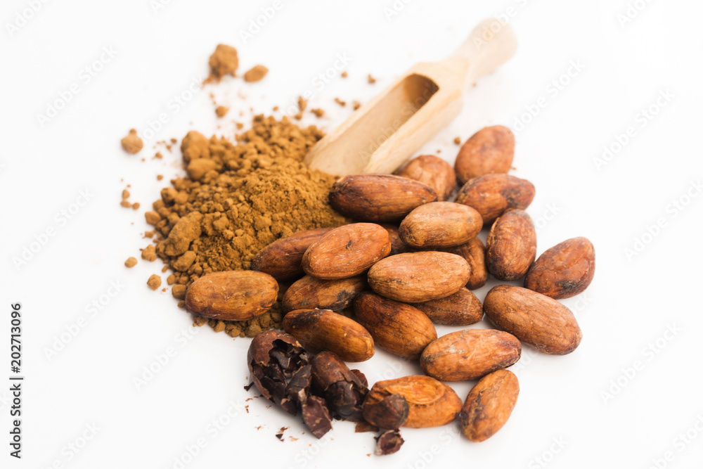 cacao beans and cacao powder in spoon cacao beans and cacao powder in spoon
