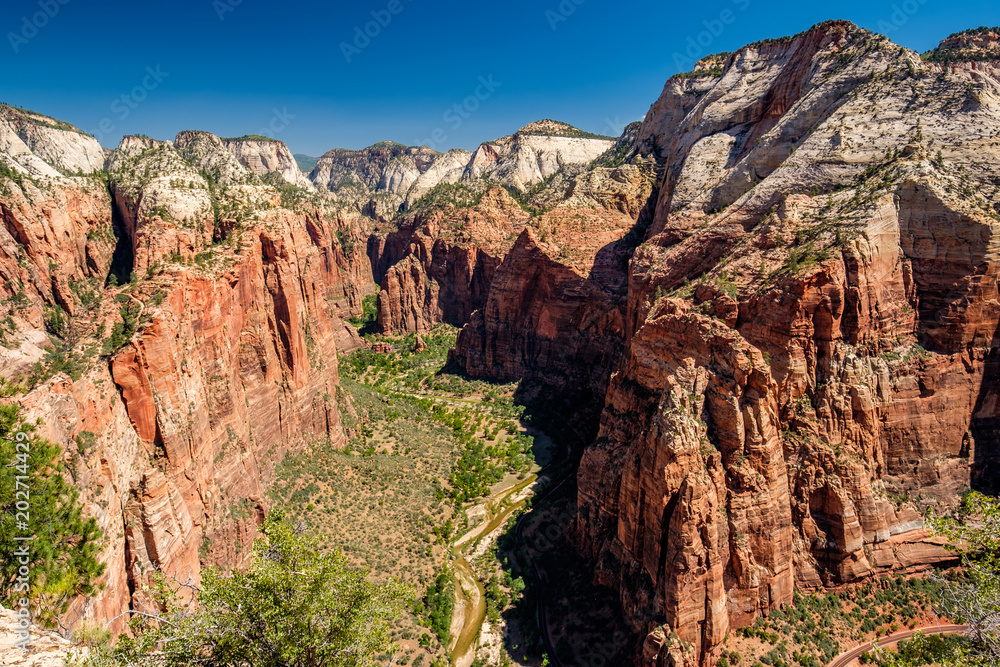 Landscape in Zion National Park